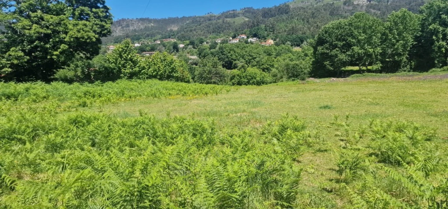 Terreno para Venda em Cantelães Foto 9