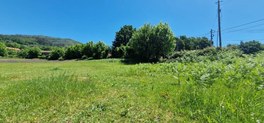 Terreno para Venda em Cantelães Foto 19