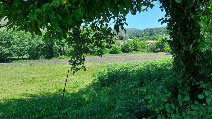 Terreno para Venda em Cantelães Foto 27