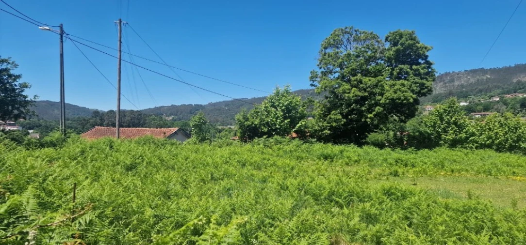Terreno para Venda em Cantelães Foto 8