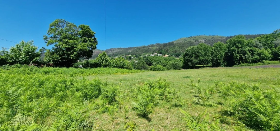 Terreno para Venda em Cantelães Foto 22