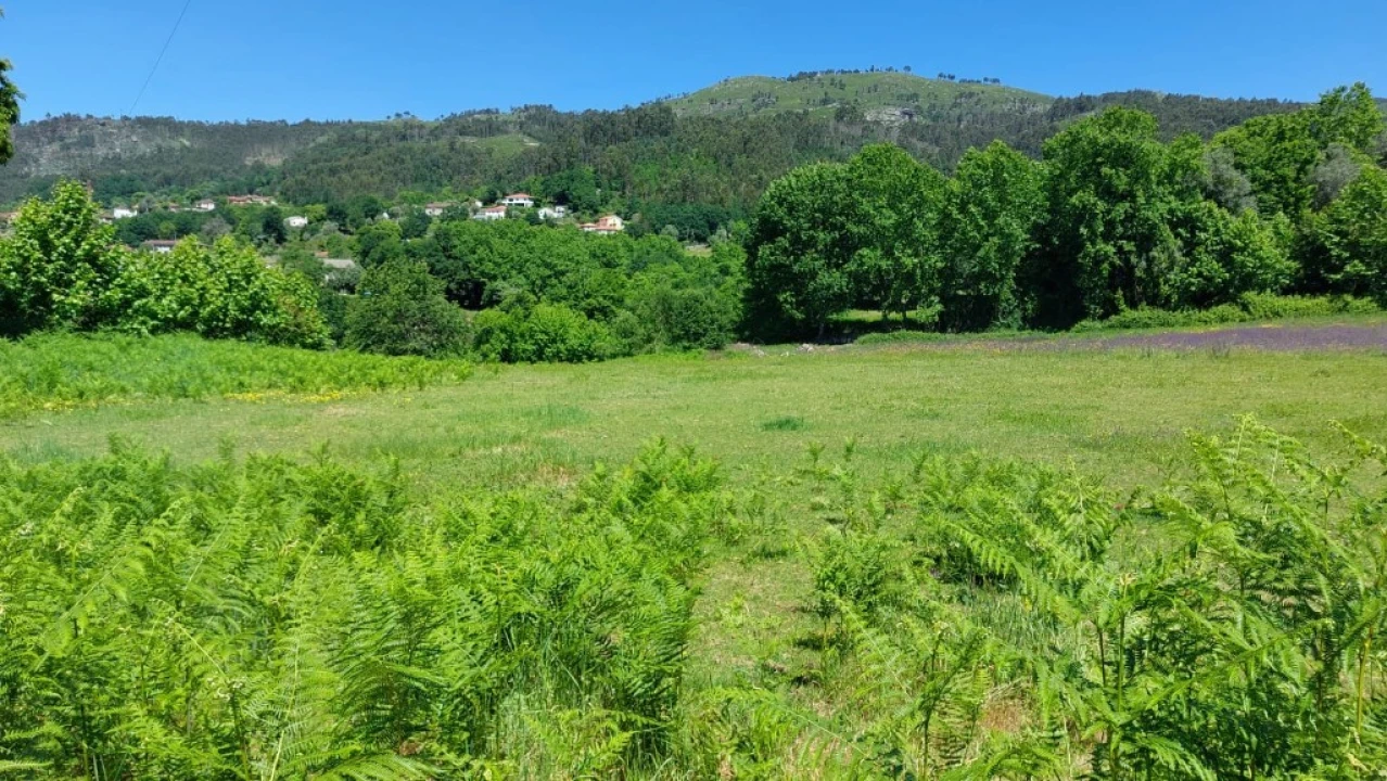 Terreno para Venda em Cantelães Foto 23