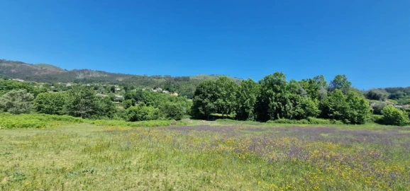 Terreno para Venda em Cantelães