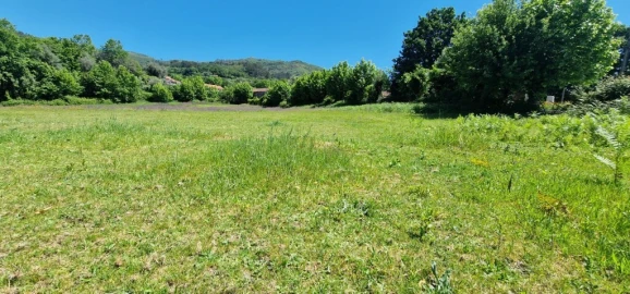 Terreno para Venda em Cantelães