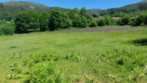 Terreno para Venda em Cantelães