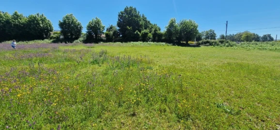 Terreno para Venda em Cantelães