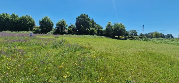 Terreno para Venda em Cantelães