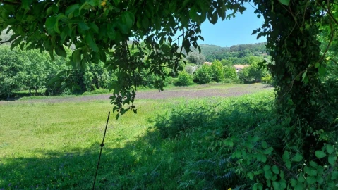 Terreno para Venda em Cantelães