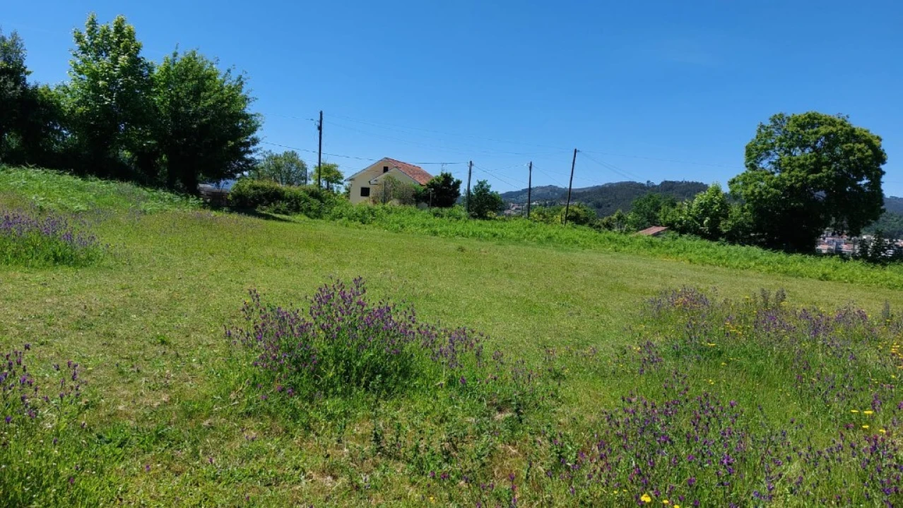 Terreno para Venda em Cantelães Foto 21