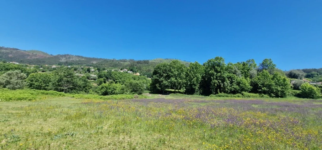 Terreno para Venda em Cantelães Foto 5