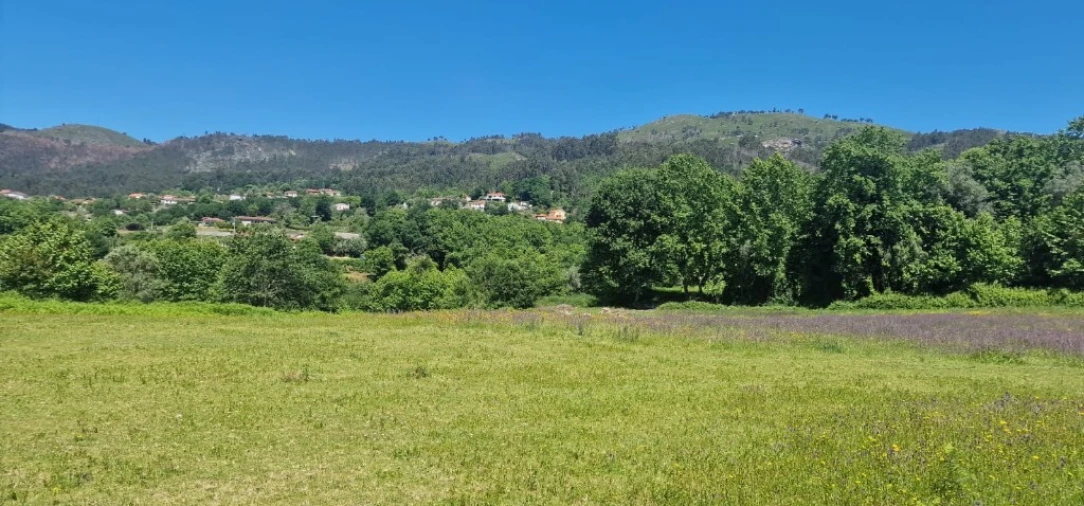 Terreno para Venda em Cantelães Foto 4