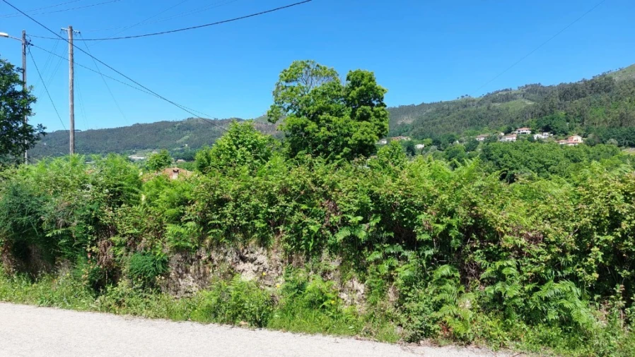 Terreno para Venda em Cantelães Foto 23