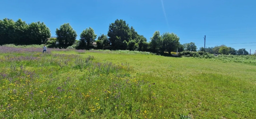 Terreno para Venda em Cantelães Foto 7