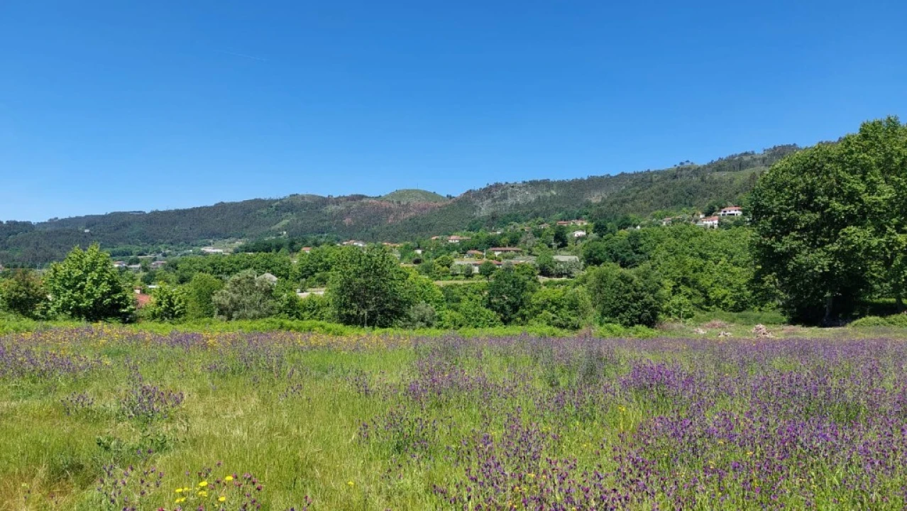 Terreno para Venda em Cantelães Foto 18