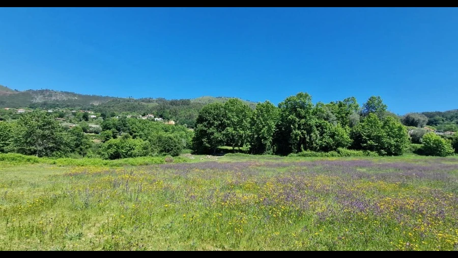 Terreno para Venda em Cantelães