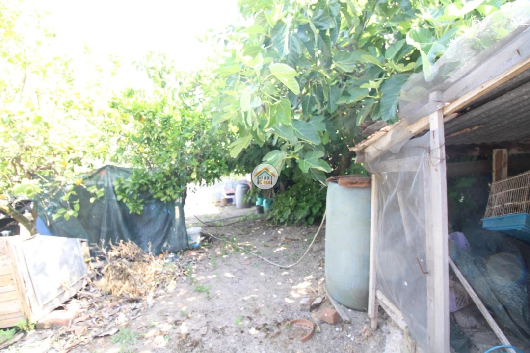 Terreno para Venda em Torrão Foto 11