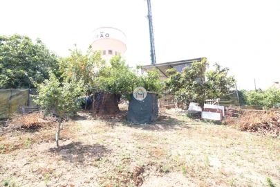 Terreno para Venda em Torrão