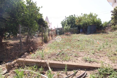 Terreno para Venda em Torrão