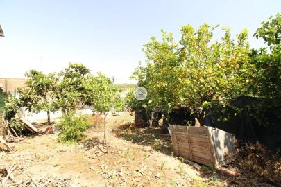 Terreno para Venda em Torrão