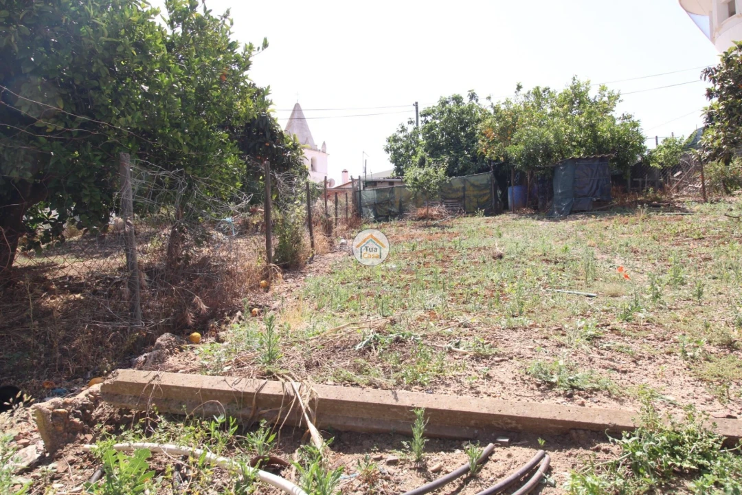 Terreno para Venda em Torrão Foto 6