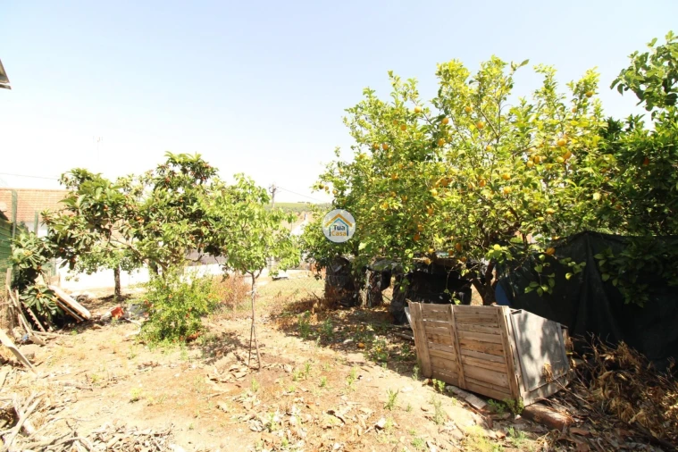 Terreno para Venda em Torrão Foto 12