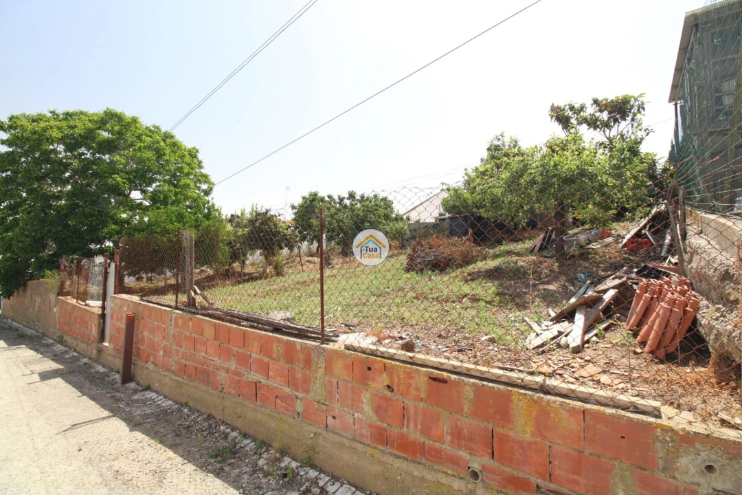 Terreno para Venda em Torrão Foto 4