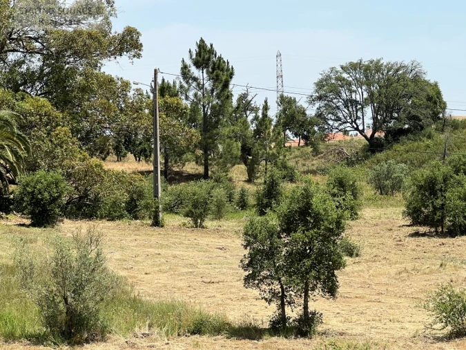 Terreno para Venda em Gambia-Pontes-Alto da Guerra Foto 18