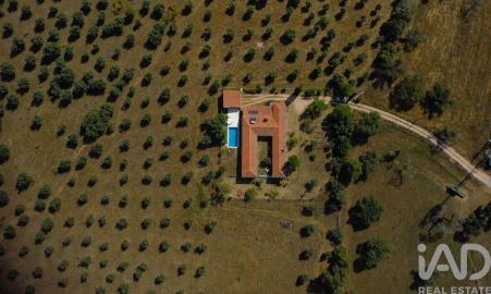 Quinta T5 para Venda em Aldeia da Mata