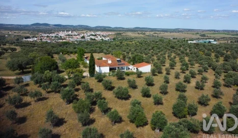 Quinta T5 para Venda em Aldeia da Mata