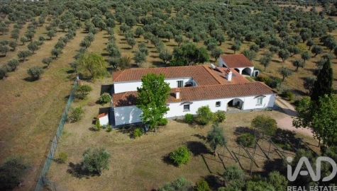 Quinta T5 para Venda em Aldeia da Mata