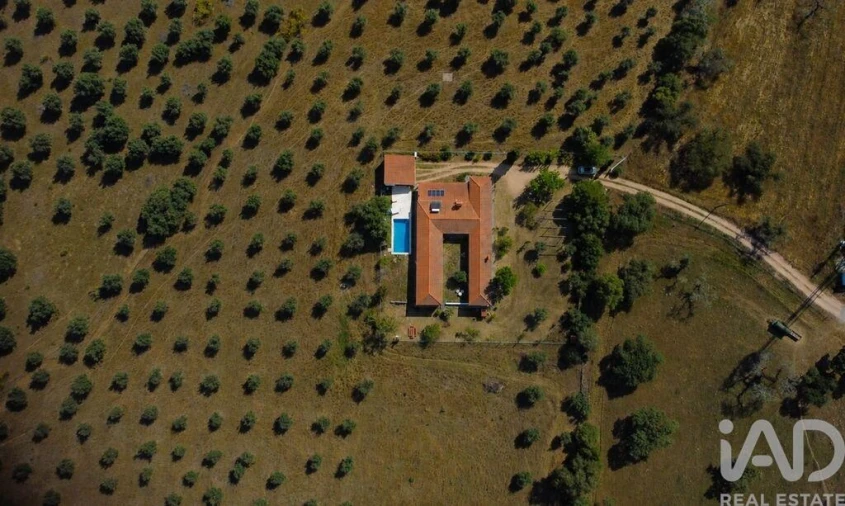 Quinta T5 para Venda em Aldeia da Mata Foto 5