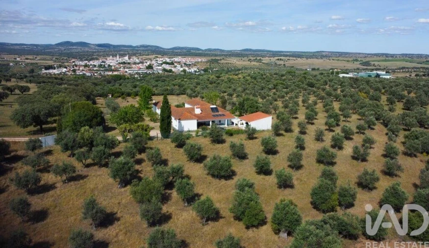 Quinta T5 para Venda em Aldeia da Mata Foto 4