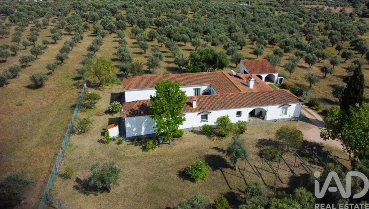 Quinta T5 para Venda em Aldeia da Mata Foto 2