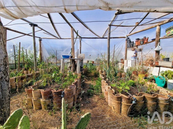 Moradia T2 para Venda em Faro (Sé e São Pedro) Foto 39