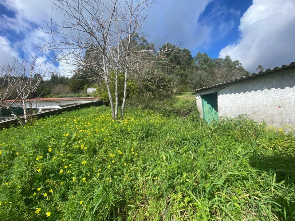 Moradia T2 para Venda em Cernache Foto 13