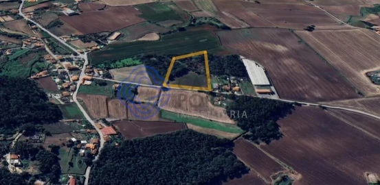 Terreno para Venda em Junqueira