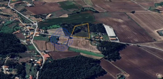 Terreno para Venda em Junqueira
