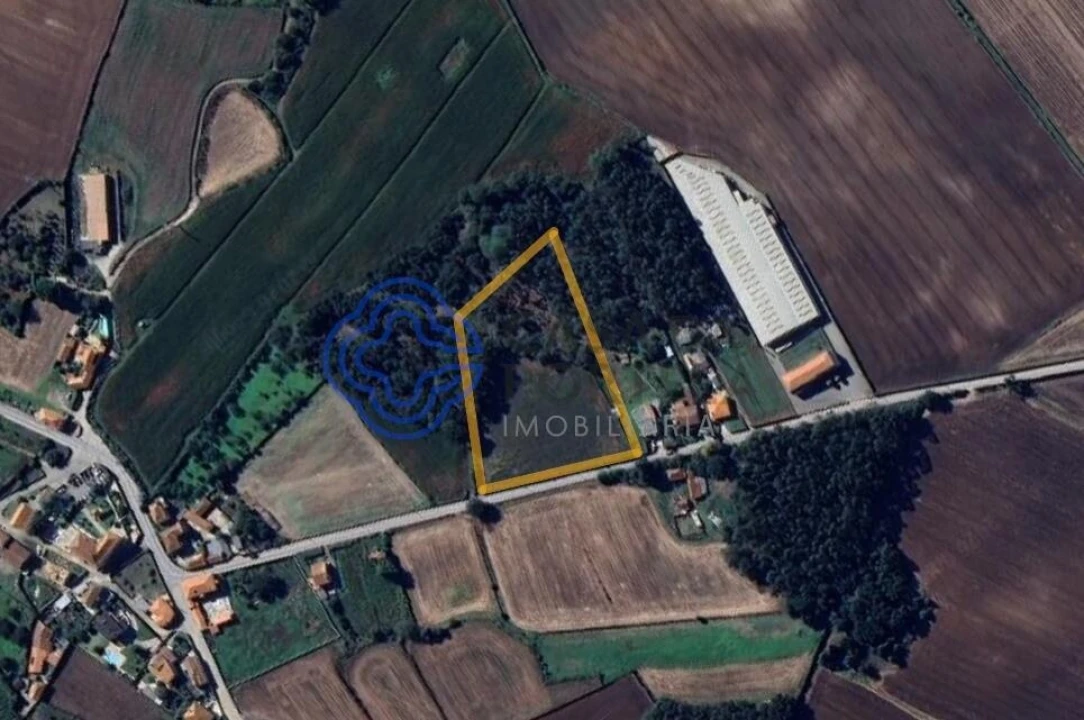 Terreno para Venda em Junqueira Foto 3