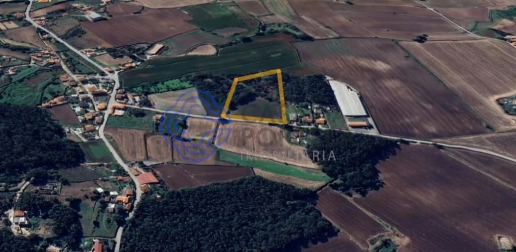 Terreno para Venda em Junqueira Foto 4