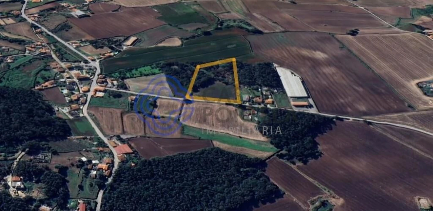 Terreno para Venda em Junqueira Foto 4