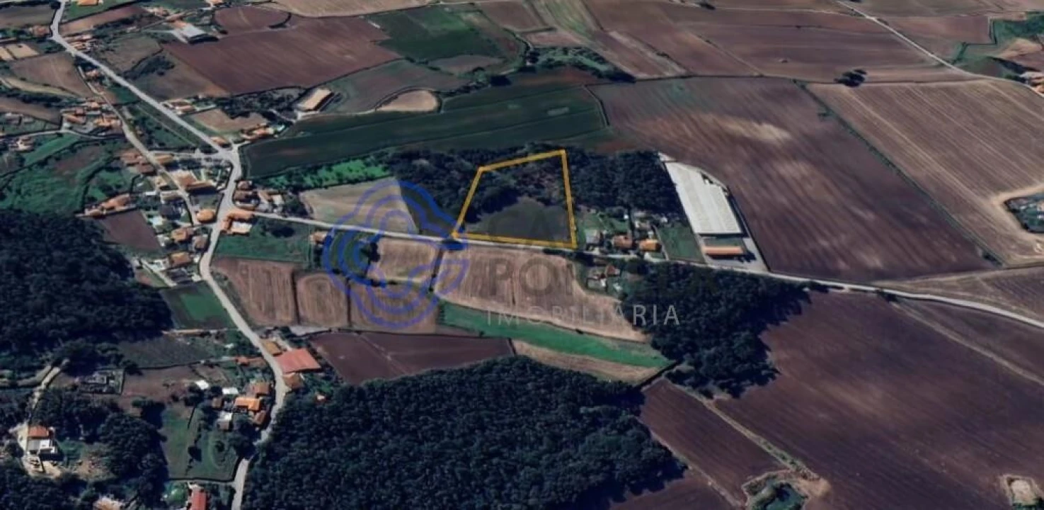 Terreno para Venda em Junqueira Foto 1