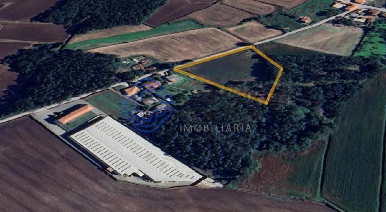 Terreno para Venda em Junqueira Foto 2