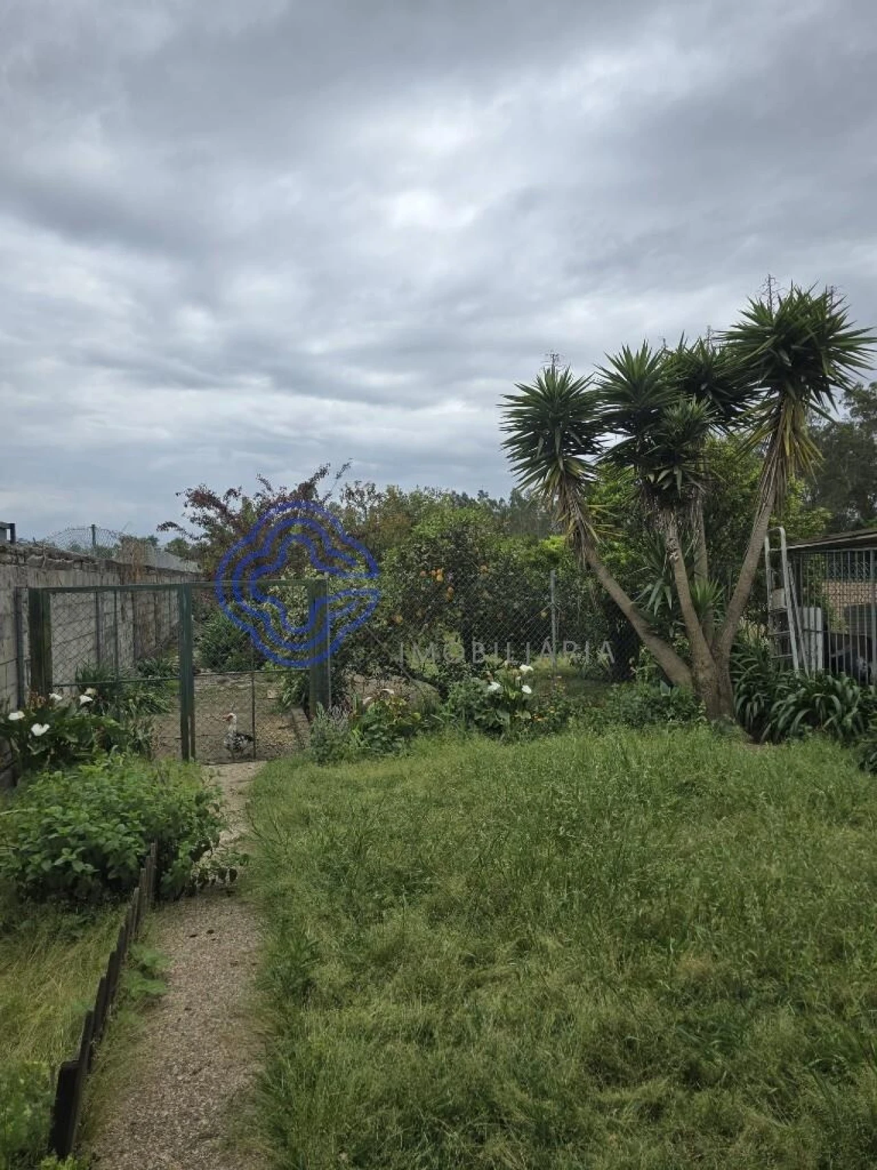 Moradia T3 para Venda em Ovar, São João, Arada e São Vicente de Pereira Jusã Foto 35