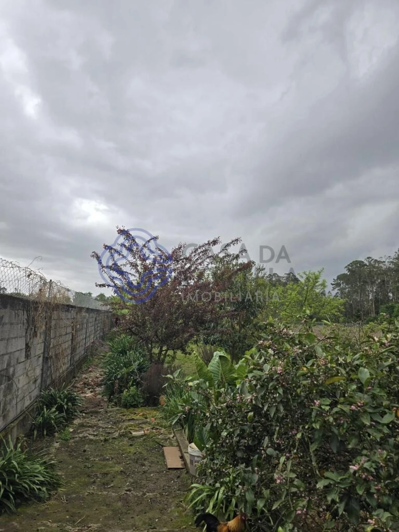 Moradia T3 para Venda em Ovar, São João, Arada e São Vicente de Pereira Jusã Foto 9