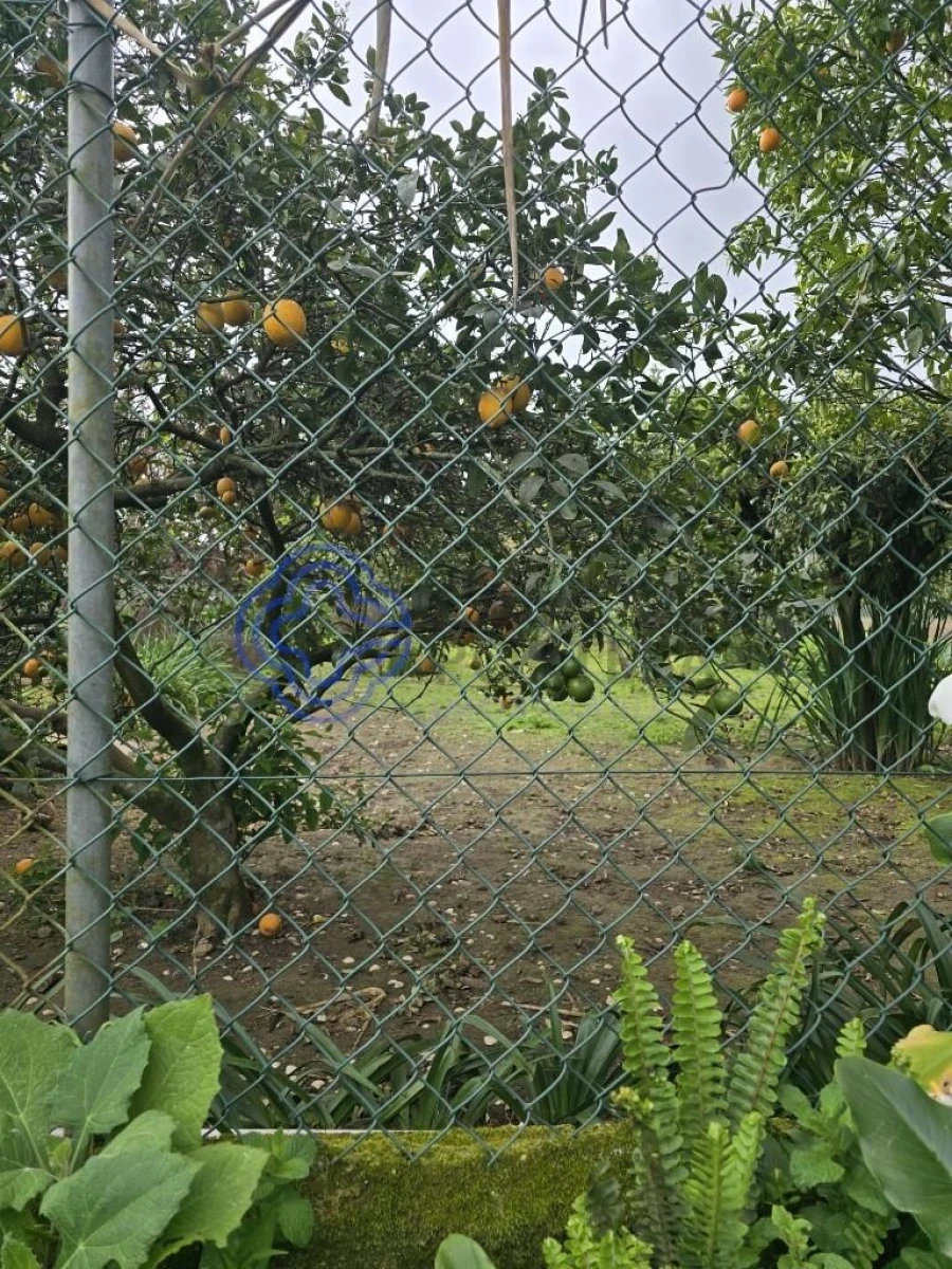 Moradia T3 para Venda em Ovar, São João, Arada e São Vicente de Pereira Jusã Foto 12
