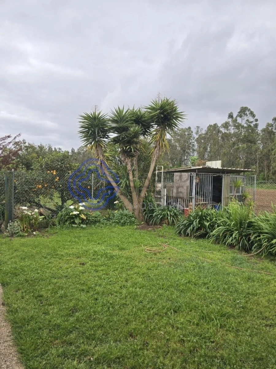 Moradia T3 para Venda em Ovar, São João, Arada e São Vicente de Pereira Jusã Foto 13