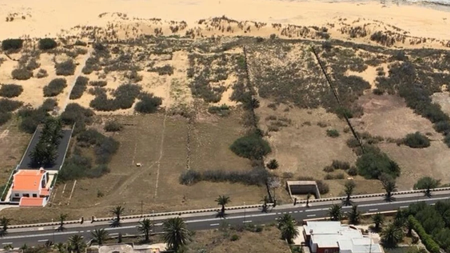 Terreno para Venda em Porto Santo