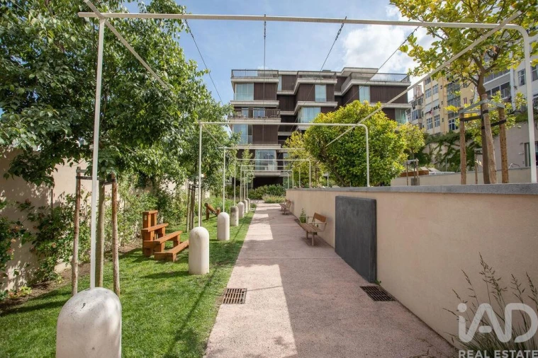 Apartamento T1 para Arrendamento em São Vicente Foto 18