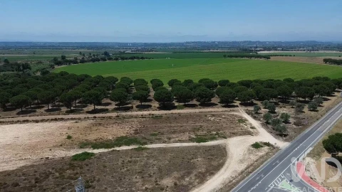 Terreno para Venda em Almeirim