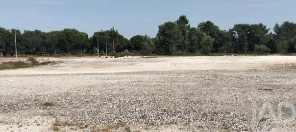 Terreno para Venda em Almeirim